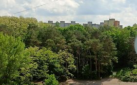 Drzewna Apartamenty - Władysława